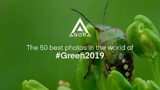 The 50 best photos in the world of #Green2019 - Agora