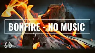 [HQ] 3HS of RELAXING sounds of a BONFIRE CRACKING. No music.
