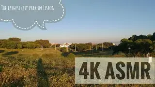 Tranquil Moments at Parque da Bela Vista | ASMR Nature Sounds #travel #status #nature #lisbon #fun