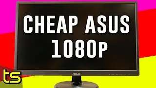 BUDGET Asus VA249HE monitor: 24″ 1080p good for gaming?