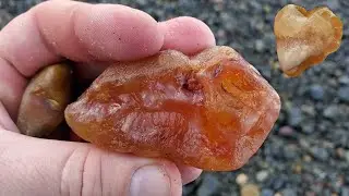 HUGE Carnelian & Chalcedony Agates with the Agate MOTHERLODE! | Oregon Coast Rockhounding