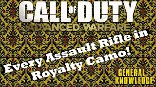 Call of Duty: Advanced Warfare All Assault Rifles in Royalty Camo