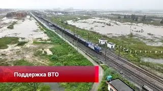 Рекорды сельского хозяйства, форум в Давосе, самый длинный мост, китайская «Аврора»