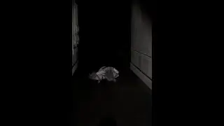 my grandma haunted me