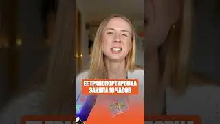 Один из главных экспонатов в Каире (помимо пирамид)