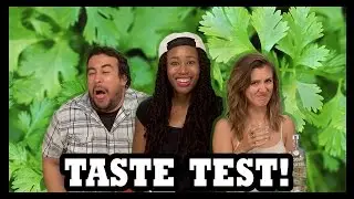 Why Would You Drink... Absolut Cilantro Vodka? - Food Feeder