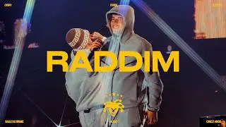 RADDIM - BAILE DO BRIME! - (FEBEM, FLEEZUS & CESRV)