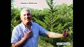 Ammour Abdenour 'L3ID'