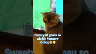 Er guckt Fernsehn