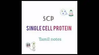 APPLIED BIOTECHNOLOGY..... SCP / single cell protein 📌 Tamil notes......