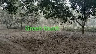 Plant hub