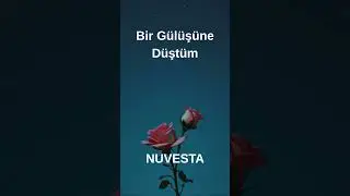 Bir G&uuml;l&uuml;ş&uuml;ne D&uuml;şt&uuml;m