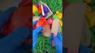 Satisfying ASMR Toy & Fruit Cutting!#asmr#satisfying #oddlysatisfyingfruit#toys #asmrfruit