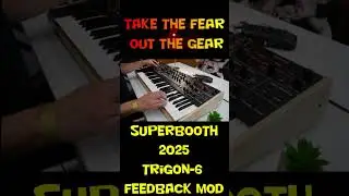 sequential trigon6 feedback mod sound #musicproducer #electronicmusic #synth #sequential #oberheim