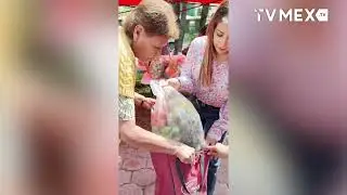 Lleva Ivonne Ruiz Moreno jornada de Despensas Verdes a Jaramangos en Coacalco