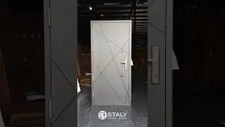Premium Steel Door New Model SD201