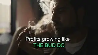 &ldquo;BULLISH BEAR&rdquo; - Krown Chakra feat. @CryptoFace [Official Lyric Video]