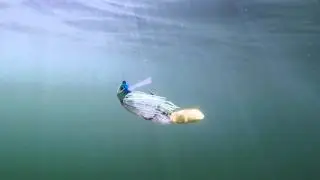 WARBAITS - WARBLADE - SLOW IT DOWN
