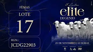 LOTE 17 JCDG 22903
