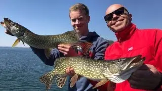 [Pêche] - Une Journée au Brochet en Espagne - Brochets en Pagaille - Pesca Extremadura