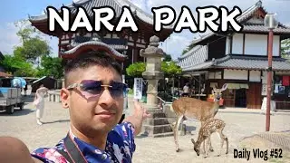 Nara Park Vlog | Solo Travel | Deer Everywhere | Ranjan Cndl