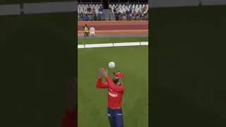 #cricket24 #cricket #catchincricket #bowled #ipl #cricketrules #wicket