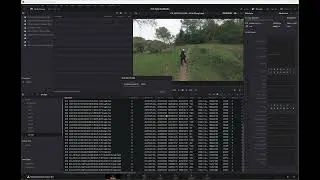 Synchronizing complexe multicam projects with Davinci Resolve and Syncaila