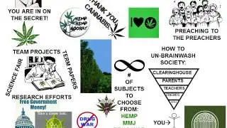 Cannabis Curriculum SUNORML 3 of 34   Reefer Gladness