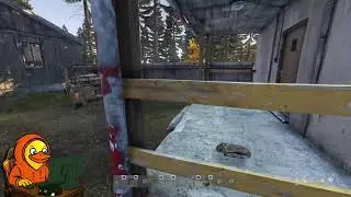 🍎Live | DayZ Vanilla Chernarus NBC Hunt pt 5