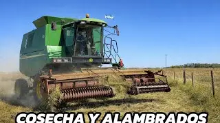 COSECHA de ALFALFA y haciendo UNA TRANQUERA NUEVA en el ALAMBRADO