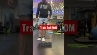 Fix Jumpers Knee! #short #shortvideo #athletictrainer #basketball #strength #rehab