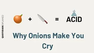 Acid In Your Eye: The Real Reason Onions Make You Cry