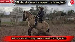 ⚠️ AVANCE  Y CORRECION DE CABALLO DURO ✅️