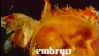 Embryo (1976) [Science Fiction] [Horror]