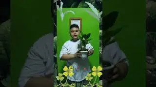 Existential Intelligence