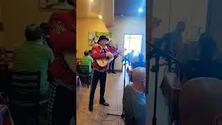 El rebelde #feedshorts #folkloremexicano #mariachimusic #vivamexico #shorts