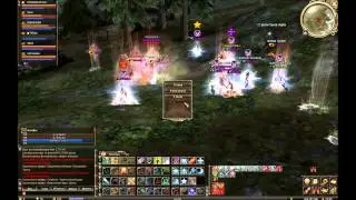 Lineage 2 PvP WildHeartz vs AkaDei
