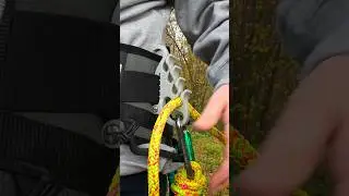 Lanyard management perfection 🤔🙌 The ISC Nessie #lanyard #treeclimbing #arborist #climber