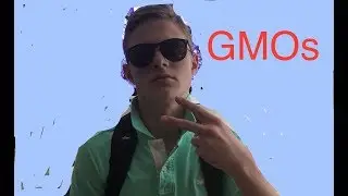 GMO Final