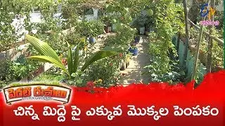 Perati Ruchulu | 14th February 2019 | Full Episode | ETV Abhiruchi