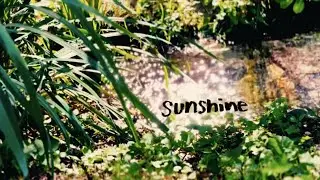 CatNick - sunshine (aka No Shit) [Official Video] (2025)