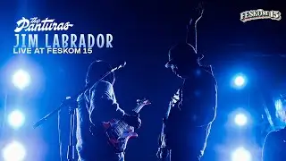 The Panturas - Jim Labrador (Live at FESKOM 15)