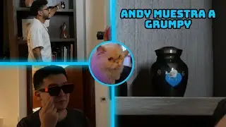 ELZEEIN MUESTRA A GRUMPY #elzeein #zeinclips #persasfc #kingleague