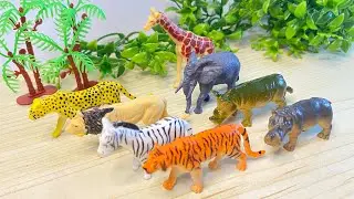 Wild Safari Animal Toys | Tiger, Lion, Giraffe & More 🦁🦒[ASMR]