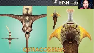 PALEOZOIC ERA