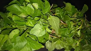 साग बनाने का आसान तरीका /Genhari Saag Recipe / Genhari Saag banane ka tarika  / Genhari saag #saag