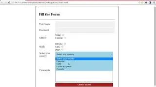 Create A Beautiful Form with CSS - Web Development Course -46