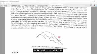 Metal-Ion, Proximity-Orientation Catalysis
