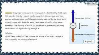 Chp 6: Fluid Dynamics | The SCIENCE of Sinking: Stokes Law Explained