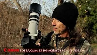 Canon R7 & adapted EF 100-400mm f/4.5-5.6L IS Lens- an amazing light wildlife combo I can recommend!